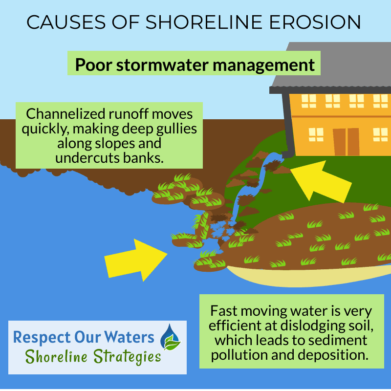 Causes of Shoreline Erosion Graphic