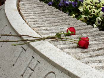 Red Roses at Memorial